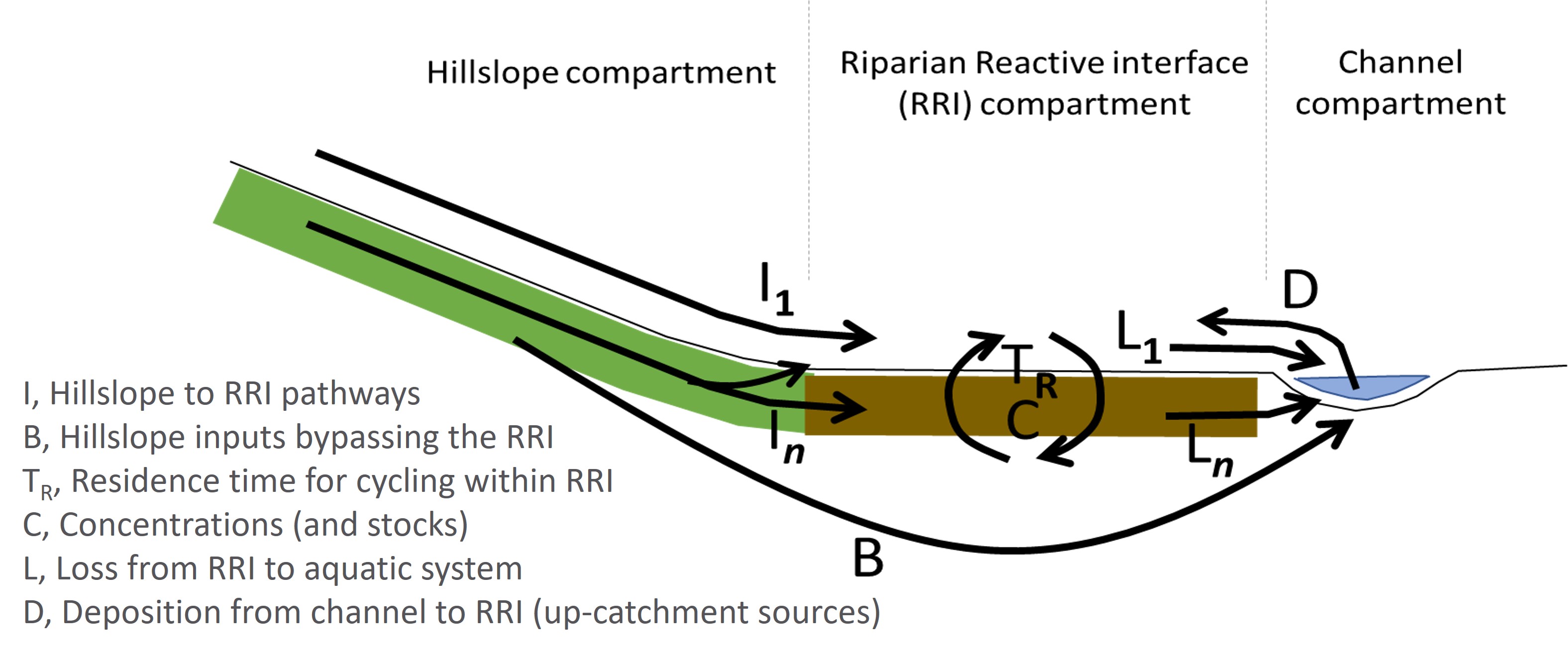 Riparian Reactive Interface processes